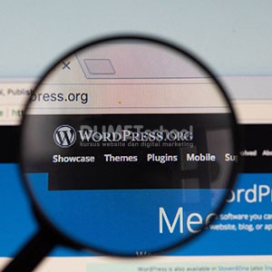 Tidak Paham Coding, Bisakah Belajar WordPress?